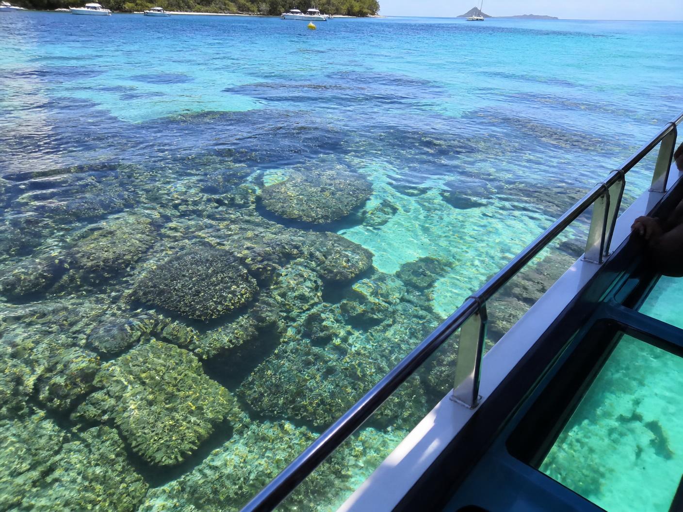 Blue Bay Marine Park glass-bottom boat