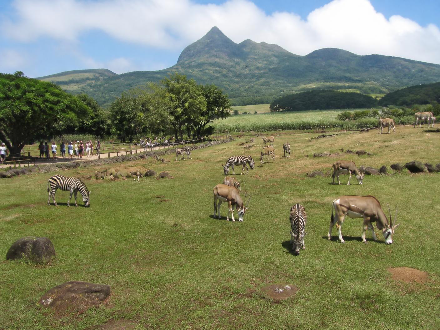 Casela Nature Park