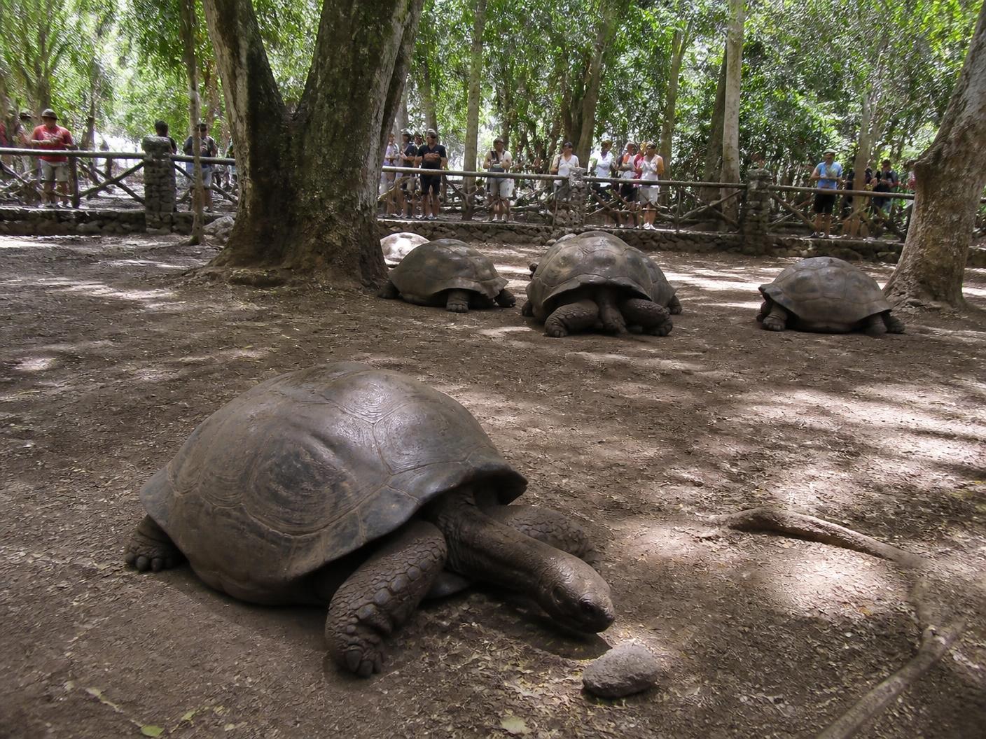 La Vanille Nature Park