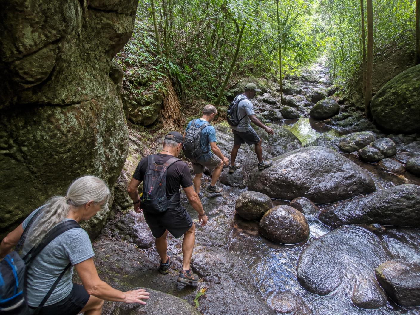 7 Waterfalls guided hike